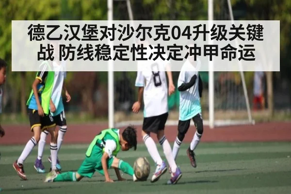 德乙汉堡对沙尔克04升级关键战 防线稳定性决定冲甲命运